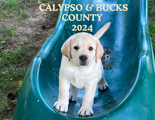 Bucks County and Calypso 2024 Calendar